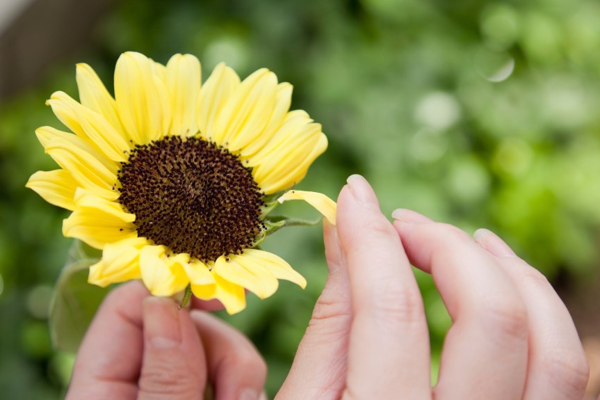 The Natural Psychic... It's Time