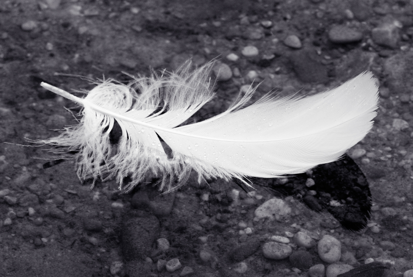 Coincidence, or Communication?