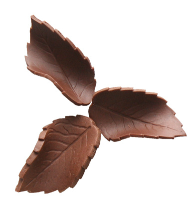 Edible Autumn Leaves