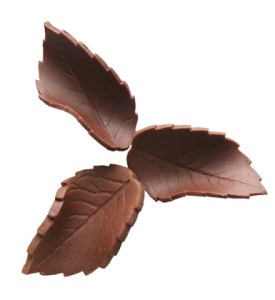 Edible Autumn Leaves