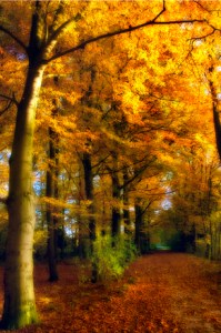 Spell Casting September 28-October 4