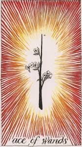 ace of wands