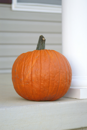 Mercifully Minimal Halloween&nbsp;Decor