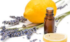 Using Essential Oils: Natural Deodorizers and Disinfectants
