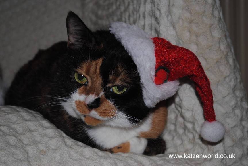 Let the voting&nbsp;begin!