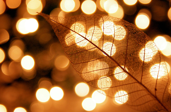 The Simple Change I Made About Myself That Changed Everything&nbsp;Else.