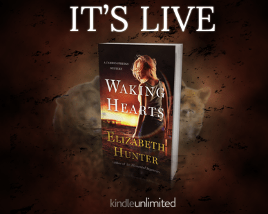 Portable Network Graphics image-9662AB5724A1-1