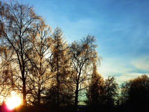 Spell Casting November 30-December 6