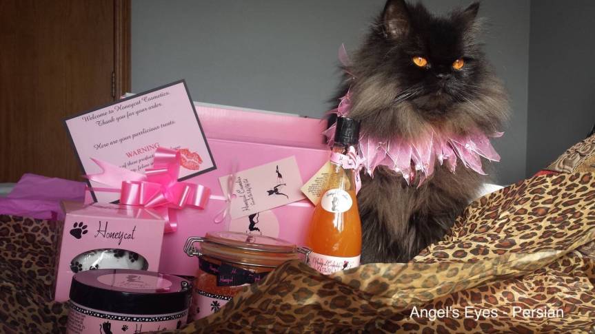 Angel’s Eyes: Honeycat Cosmetics! Purrfect for Cat Lovers.&nbsp;:D