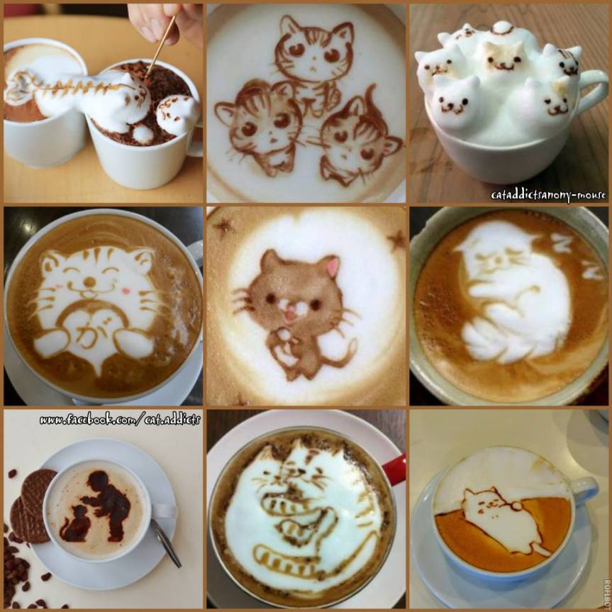 cat coffee