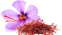Saffron Essential Oil