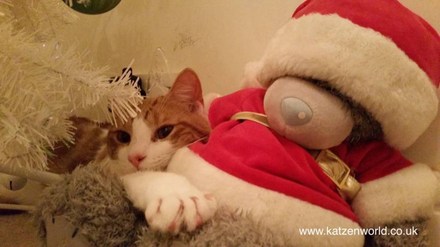 Last chance to&nbsp;vote