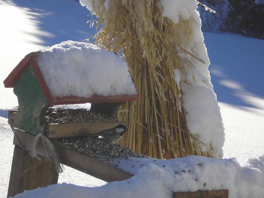 Winter Solstice/Yule Magickal&nbsp;Correspondence