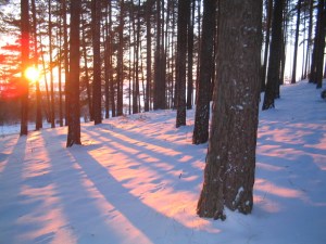 Yule/Winter Solstice