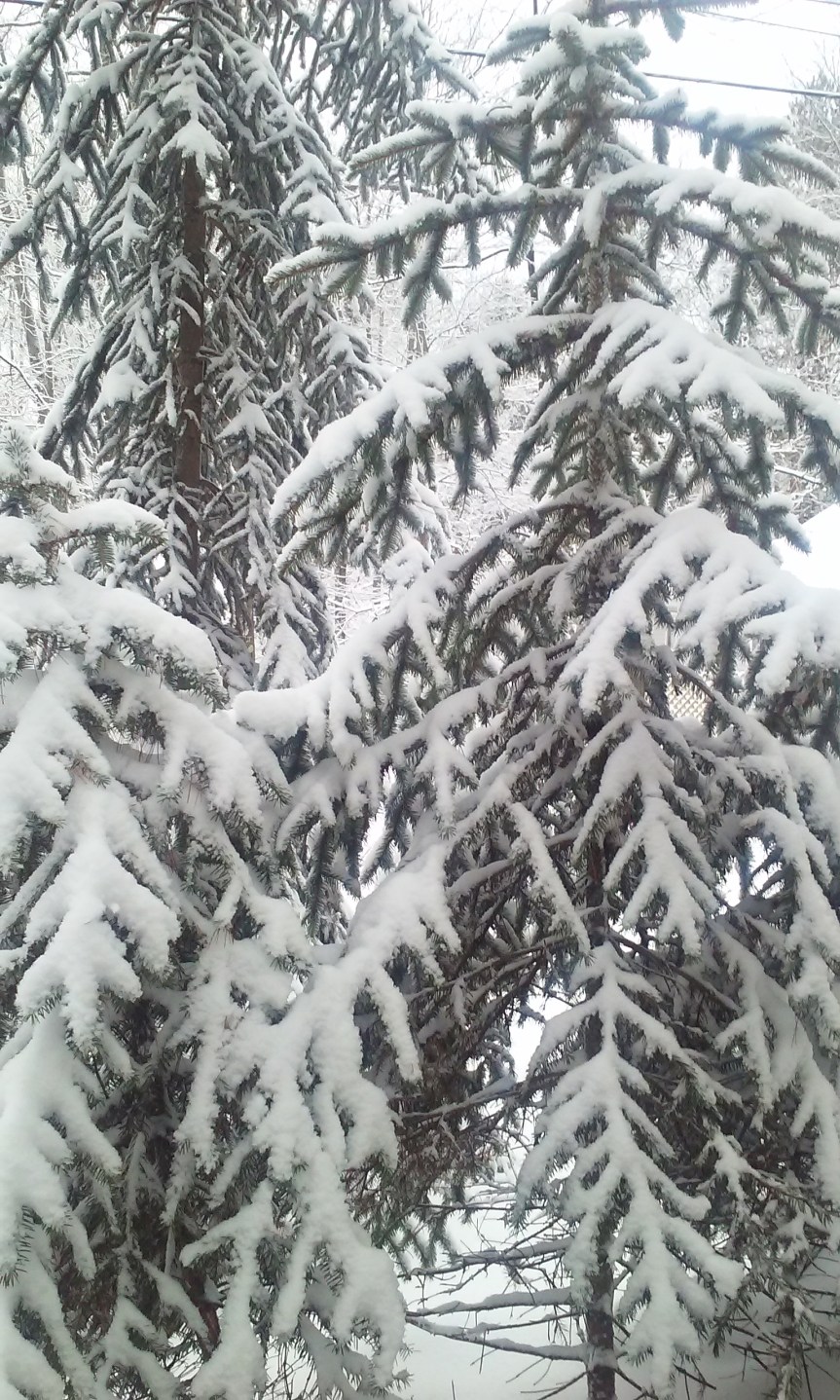 Spell Casting January 11 – 17,&nbsp;2016