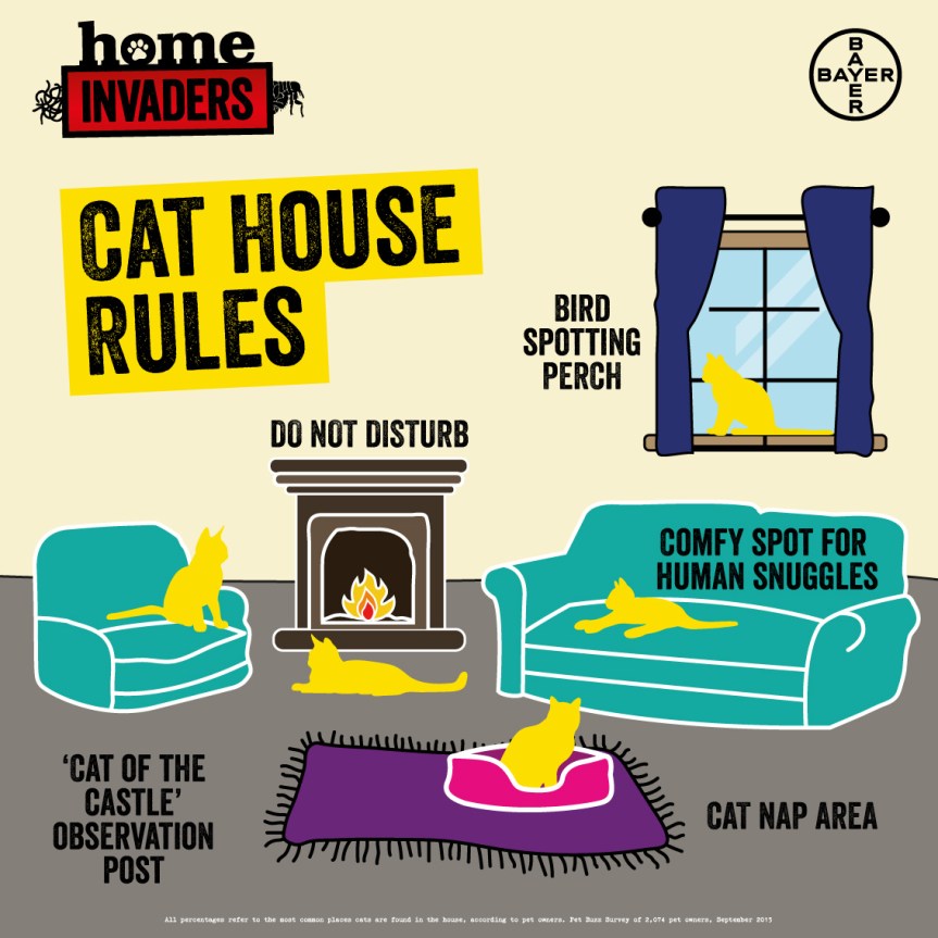 Cat House Rules – The&nbsp;Lounge!