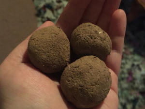 Dried seed balls ready for tossing!