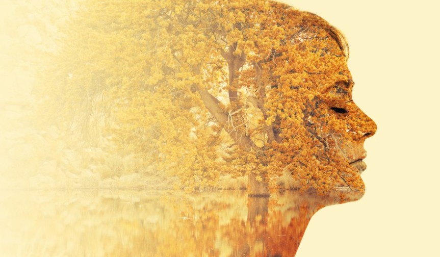 The Art of Introspection in a Self-Obsessed&nbsp;World