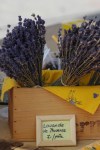 lavender-1512699