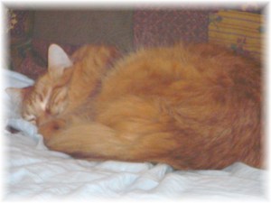 ...and then suddenly before my eyes there was this huge mountain of treats!