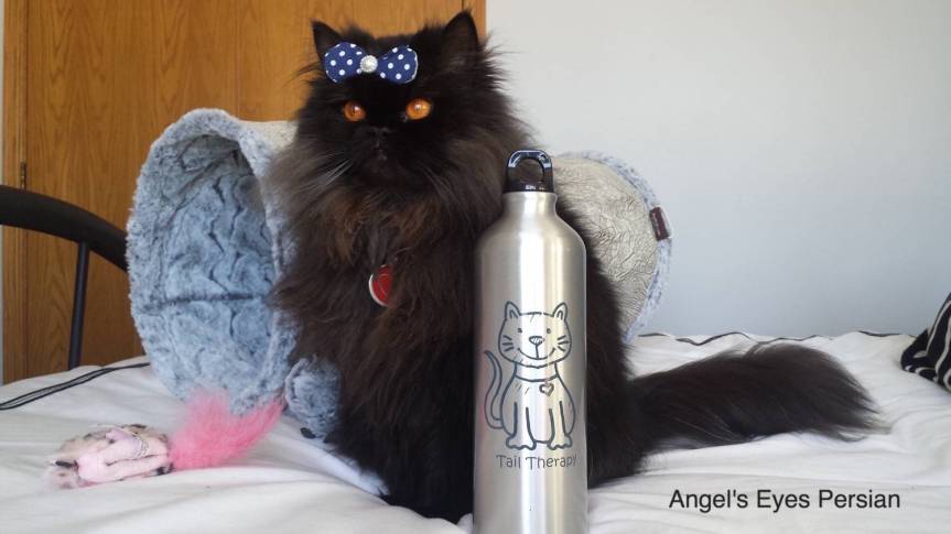 Tail Therapy… Who’s&nbsp;Ready?