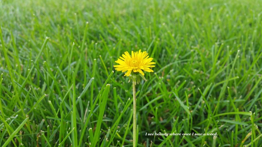 We see what we choose to see