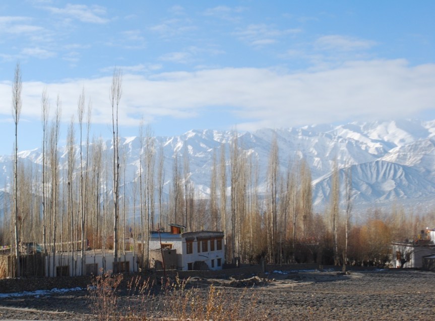 fields cottage and Himalayas