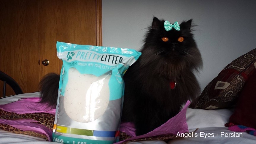 Angel’s Eyes: The smart “Pretty Litter” that can detect health&nbsp;problems!