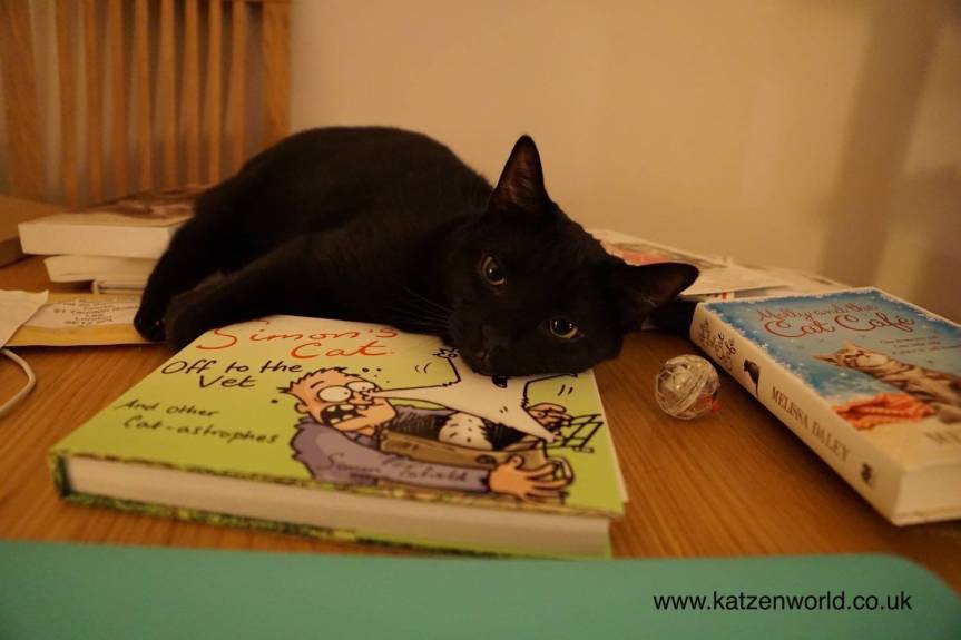 Book Mews: Simon’s Cat – Off to the&nbsp;Vet