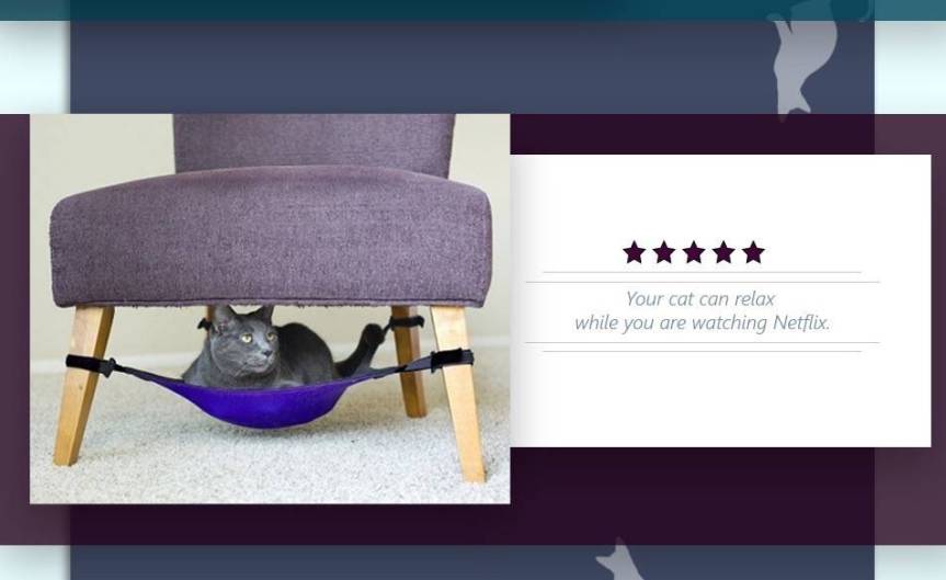 Infographic: Stylish Design for Classy&nbsp;Cats