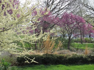 4 Reasons Not to Rush the Spring Garden&nbsp;Cleanup