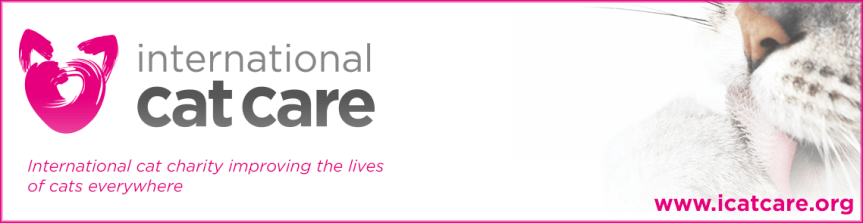 New Baby? Helping your cat cope with the new addition to the&nbsp;family