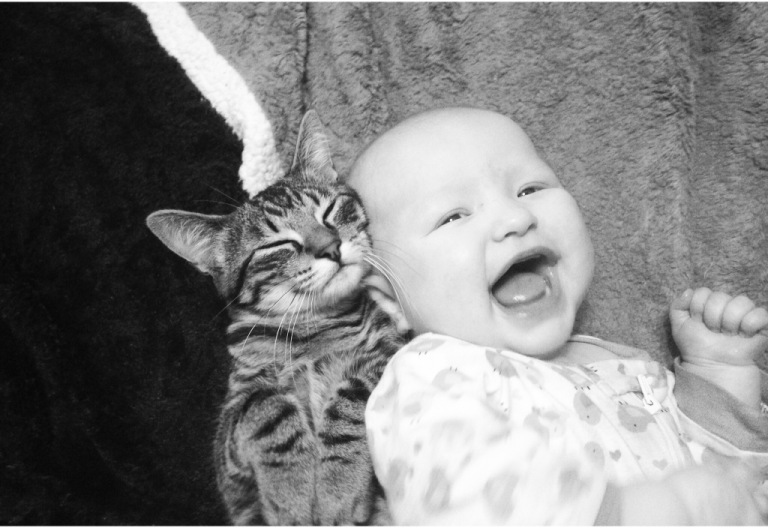 Guest Star: Millie And Corn Dog the&nbsp;Cat