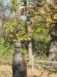 A Druid’s Primer for Land Healing, Part V: The Magic of Witnessing, Holding Space, Apology, and&nbsp;Remembrance