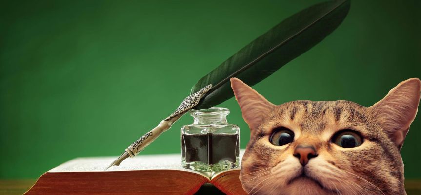 Purrsday Poetry: Dreams by Bernie&nbsp;Colley