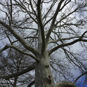 A Druid’s Primer on Land Healing, Part VII: Self Care and Land&nbsp;Healing