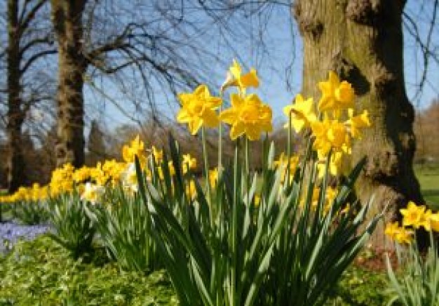 Spell Casting April 4 – April 10