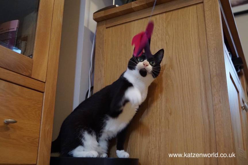 Oliver & Nubia: Attack of the&nbsp;Butterfly