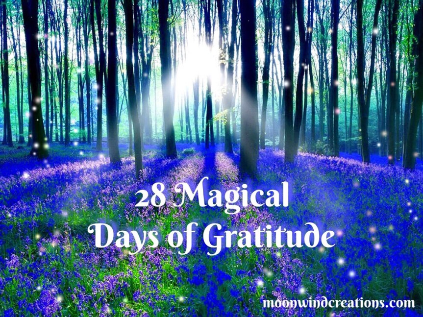 28 Days of Gratitude Day&nbsp;#4