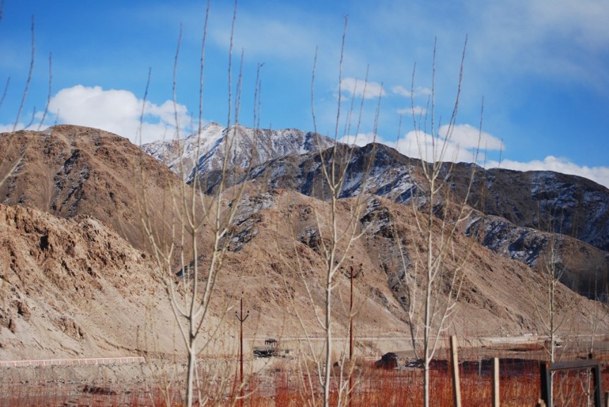 BOUQUET OF SPLENDOUR