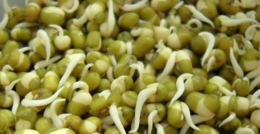 mung-bean-sprouts