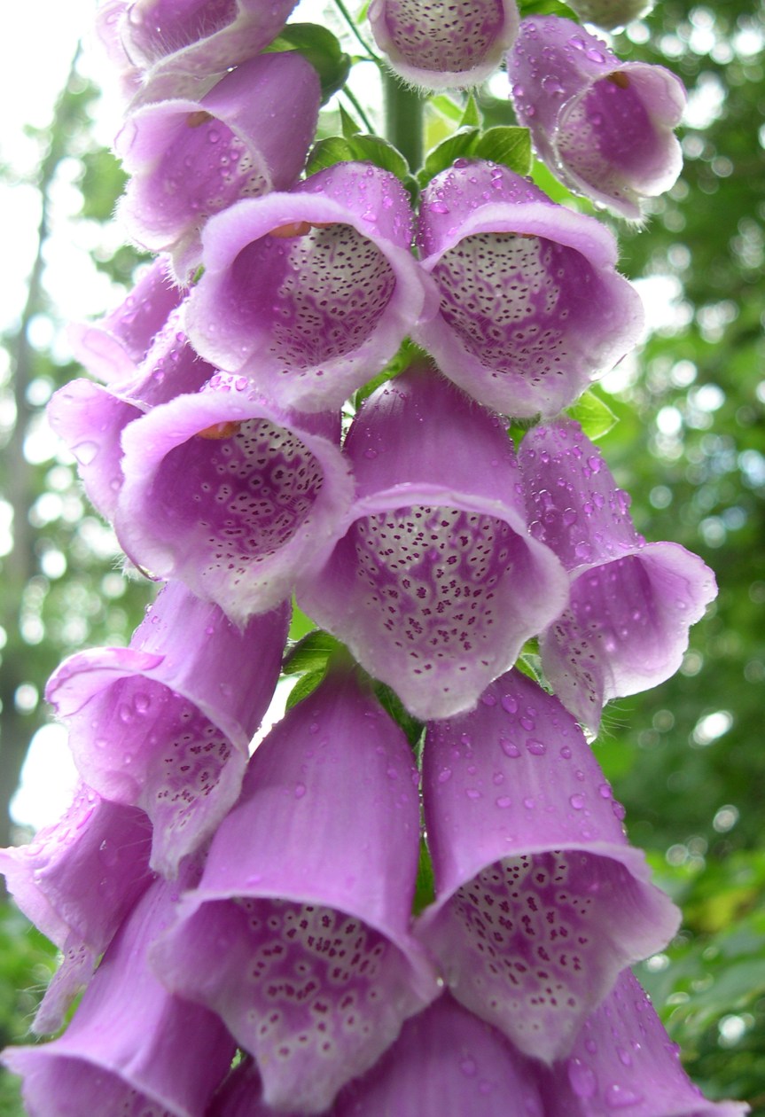 Correspondence of Beltane