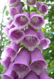 Correspondence of Beltane