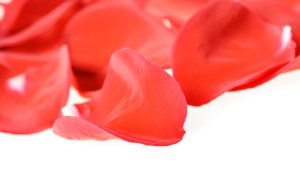 Notions, Potions, & Spells for Beltane