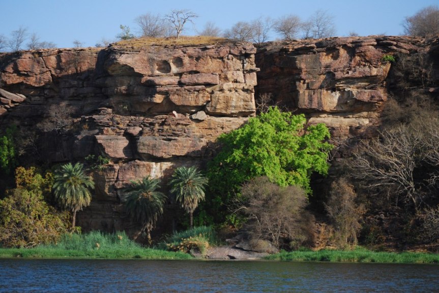terrain of ghost tree