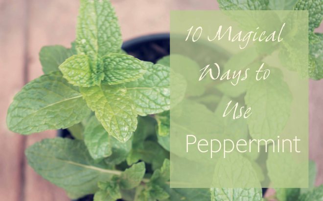 10 Ways to Use Peppermint