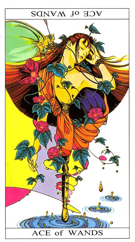 Card of the Day – Ace of Wands – Sunday, May 8,&nbsp;2016