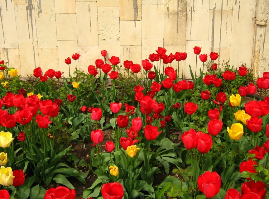 SPELL CASTING May 16 – May 22, 2016