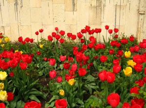 SPELL CASTING May 16 – May 22, 2016