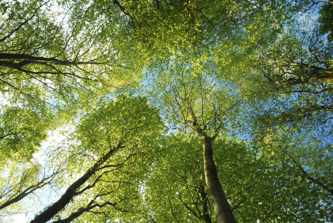 Weekly Spell Casting May 23 – May 29, 2016